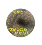 沼木語(古め)3（個別スタンプ：7）