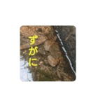 沼木語(古め)3（個別スタンプ：8）