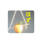 沼木語(古め)3（個別スタンプ：9）