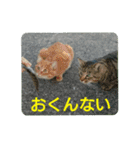 沼木語(古め)3（個別スタンプ：12）