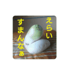 沼木語(古め)3（個別スタンプ：13）