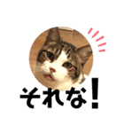 こもじろう♪3（個別スタンプ：8）