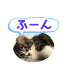 こもじろう♪3（個別スタンプ：9）