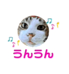 こもじろう♪3（個別スタンプ：11）