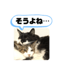 こもじろう♪3（個別スタンプ：13）