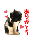 こもじろう♪3（個別スタンプ：19）