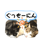 こもじろう♪3（個別スタンプ：20）