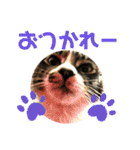 こもじろう♪3（個別スタンプ：22）