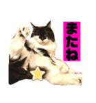 こもじろう♪3（個別スタンプ：23）