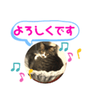 こもじろう♪3（個別スタンプ：24）