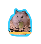 ハムちゃんでんちゃん（個別スタンプ：2）