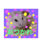 ハムちゃんでんちゃん（個別スタンプ：7）