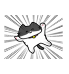 集中線ネコ（個別スタンプ：1）