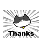 集中線ネコ（個別スタンプ：7）