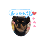 りぼんといちご❤️（個別スタンプ：3）