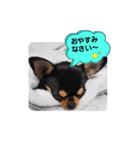 りぼんといちご❤️（個別スタンプ：5）