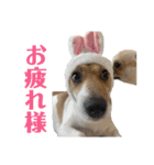.＆。（個別スタンプ：14）