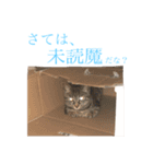 【愛猫にゃんこ】ばぶ・ぷり・ぽんの日常（個別スタンプ：11）