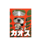 チャッピーの日常Part2（個別スタンプ：29）