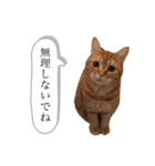もな様のきもち 基本関西弁（個別スタンプ：5）