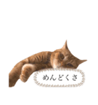 もな様のきもち 基本関西弁（個別スタンプ：6）