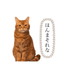 もな様のきもち 基本関西弁（個別スタンプ：7）