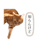 もな様のきもち 基本関西弁（個別スタンプ：9）