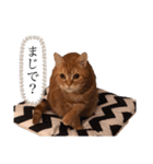 もな様のきもち 基本関西弁（個別スタンプ：11）