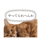 もな様のきもち 基本関西弁（個別スタンプ：14）