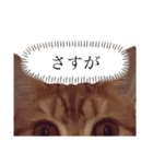 もな様のきもち 基本関西弁（個別スタンプ：17）