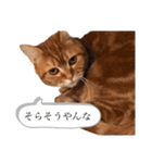 もな様のきもち 基本関西弁（個別スタンプ：18）