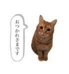 もな様のきもち 基本関西弁（個別スタンプ：21）