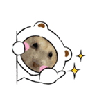 ハムスターのさくら（個別スタンプ：3）