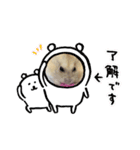 ハムスターのさくら（個別スタンプ：5）
