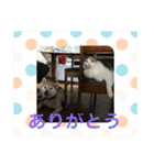 アイちゃんスタンプ2（個別スタンプ：2）