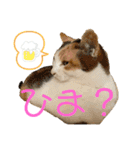 アイちゃんスタンプ2（個別スタンプ：16）