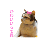 アイちゃんスタンプ2（個別スタンプ：20）