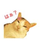 アイちゃんスタンプ2（個別スタンプ：21）
