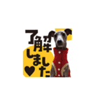 ハイパーイタグレ、蘭（個別スタンプ：23）