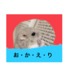 ハムちゃん集合体（個別スタンプ：1）