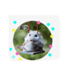 ハムちゃん集合体（個別スタンプ：3）