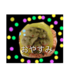 ハムちゃん集合体（個別スタンプ：7）