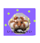 ハムちゃん集合体（個別スタンプ：8）