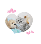 猫と時々犬の生活（個別スタンプ：3）