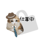 猫と時々犬の生活（個別スタンプ：34）