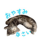 敬語のちゃちゃまる（個別スタンプ：2）