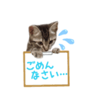 敬語のちゃちゃまる（個別スタンプ：9）