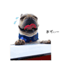 Shake＆Chop（個別スタンプ：8）