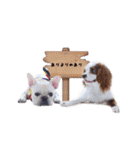 Shake＆Chop（個別スタンプ：9）