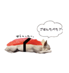 Shake＆Chop（個別スタンプ：18）